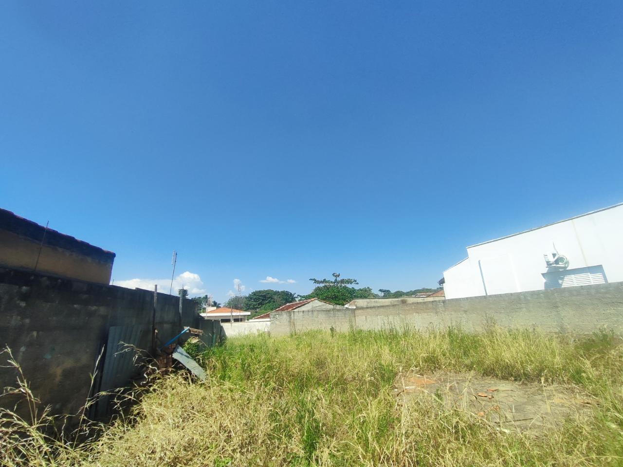 TV1731
