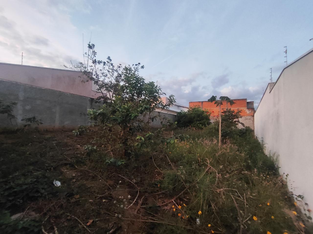 Terreno - Jardim do Trevo
